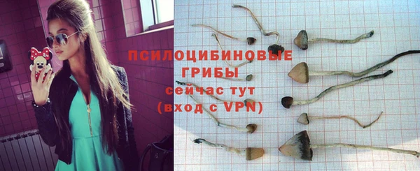 спиды Баксан
