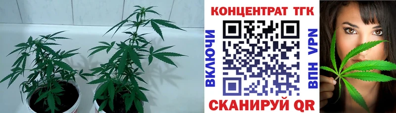 Дистиллят ТГК концентрат  магазин    Няндома 