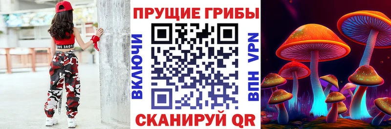 Псилоцибиновые грибы ЛСД  MEGA как войти  Няндома  купить  